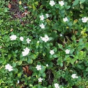 Meet your Posher, Marie